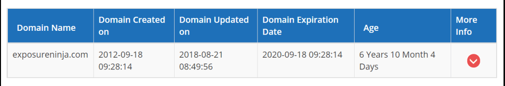 Screenshot of the domain age checker tool