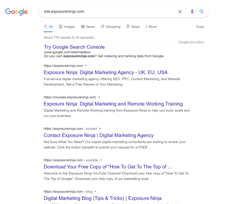 Screenshot of a Google site: search for the Thinkplus website