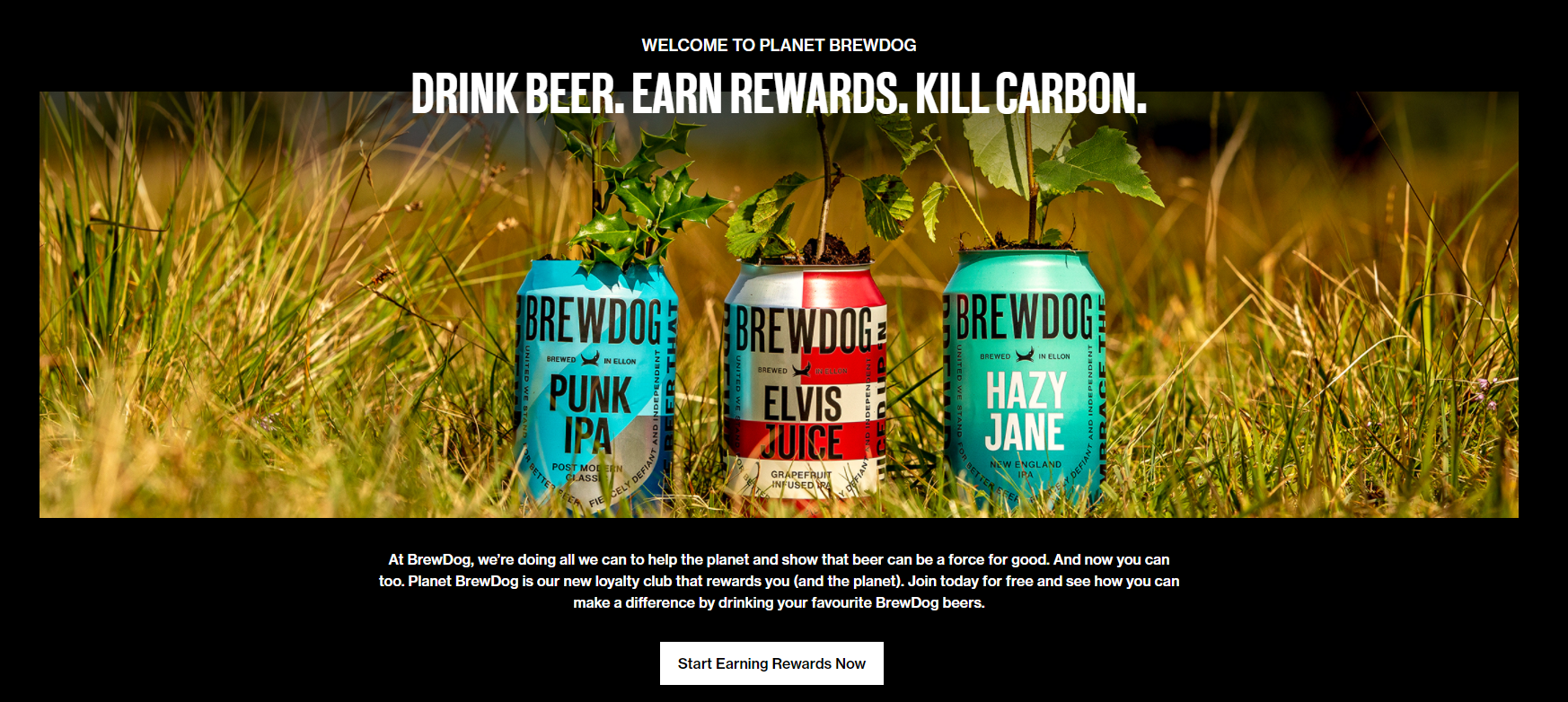 Screenshot of BrewDog's loyalty scheme