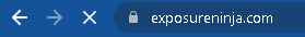 Screenshot of Thinkplus's SSL Certificate padlock