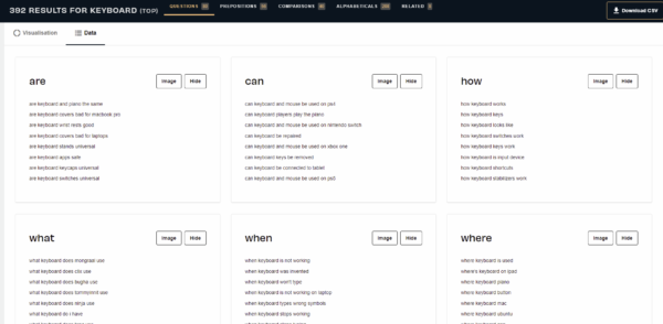Screenshot of the data view on Answer the Public