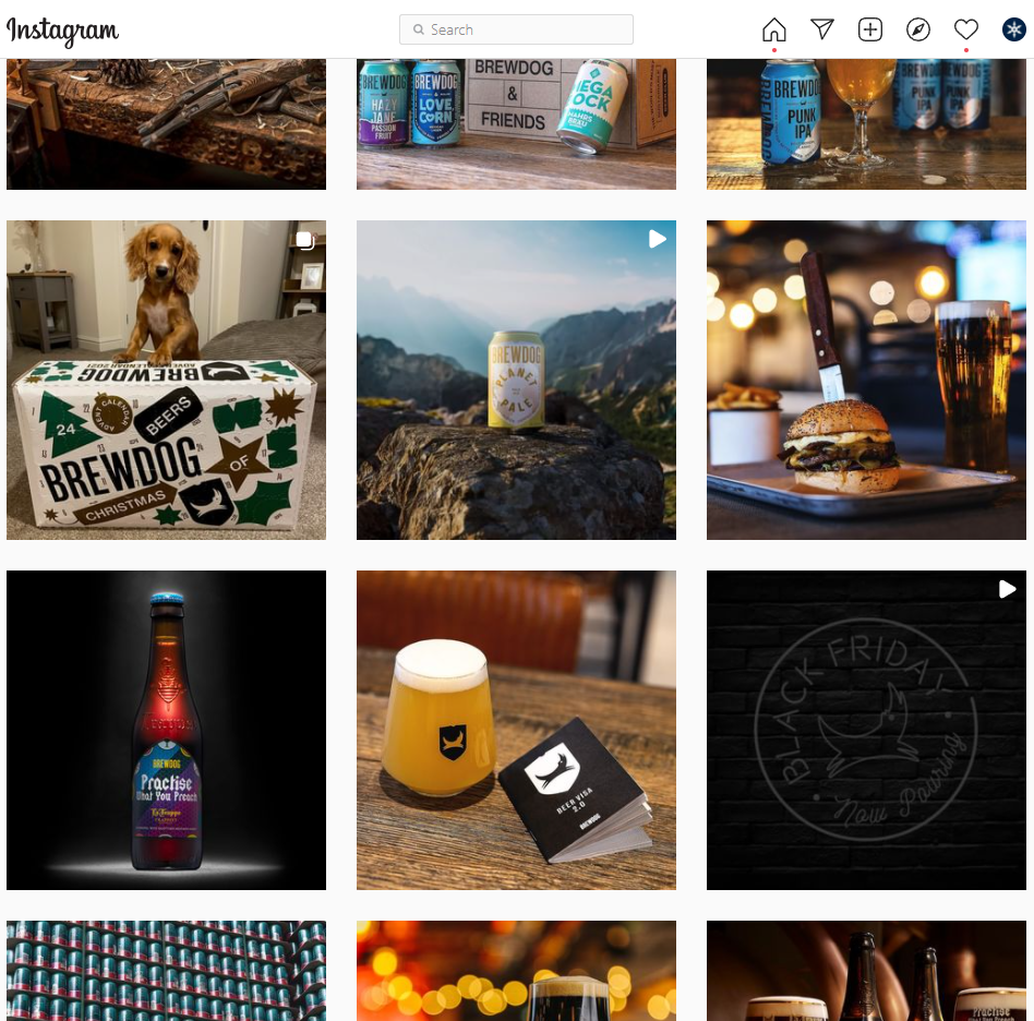 Screenshot of brewdog's instagram