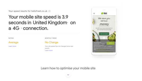 Screenshot of Google Test My Site
