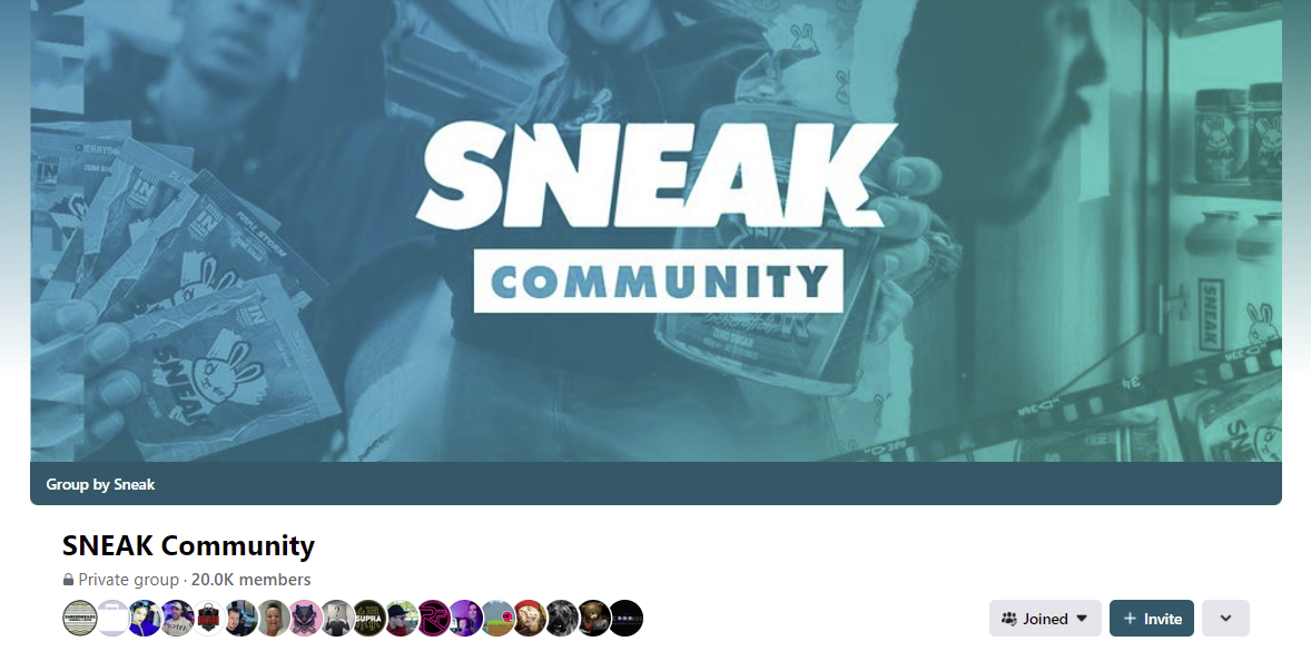 Screenshot of the Sneak Facebook Community