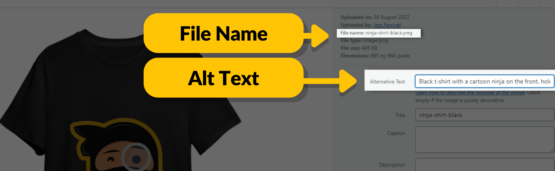 Image showing the location of the file name and alt text in WordPress