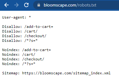 Screenshot of a Robots.txt file