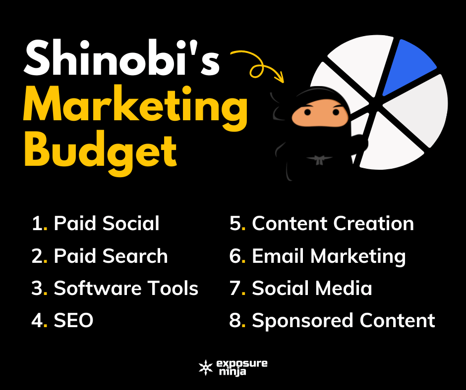 Infographic giving an example of a digital marketing budget split between channels.