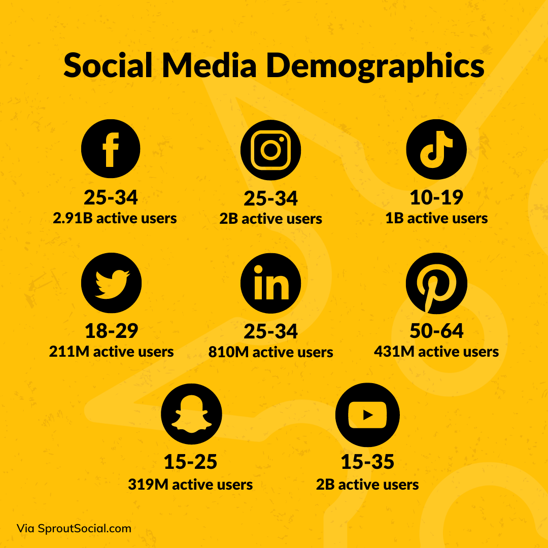 Infographic of social media demographics