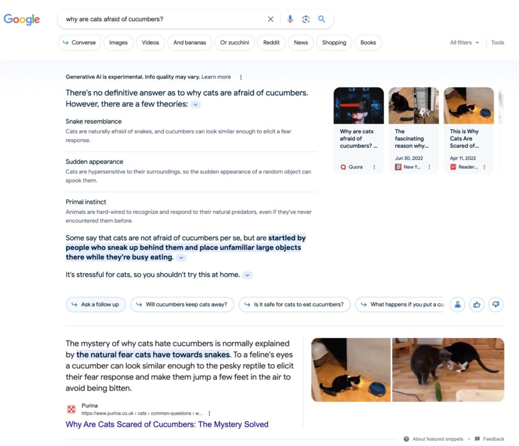 Screenshot of Google SGE results