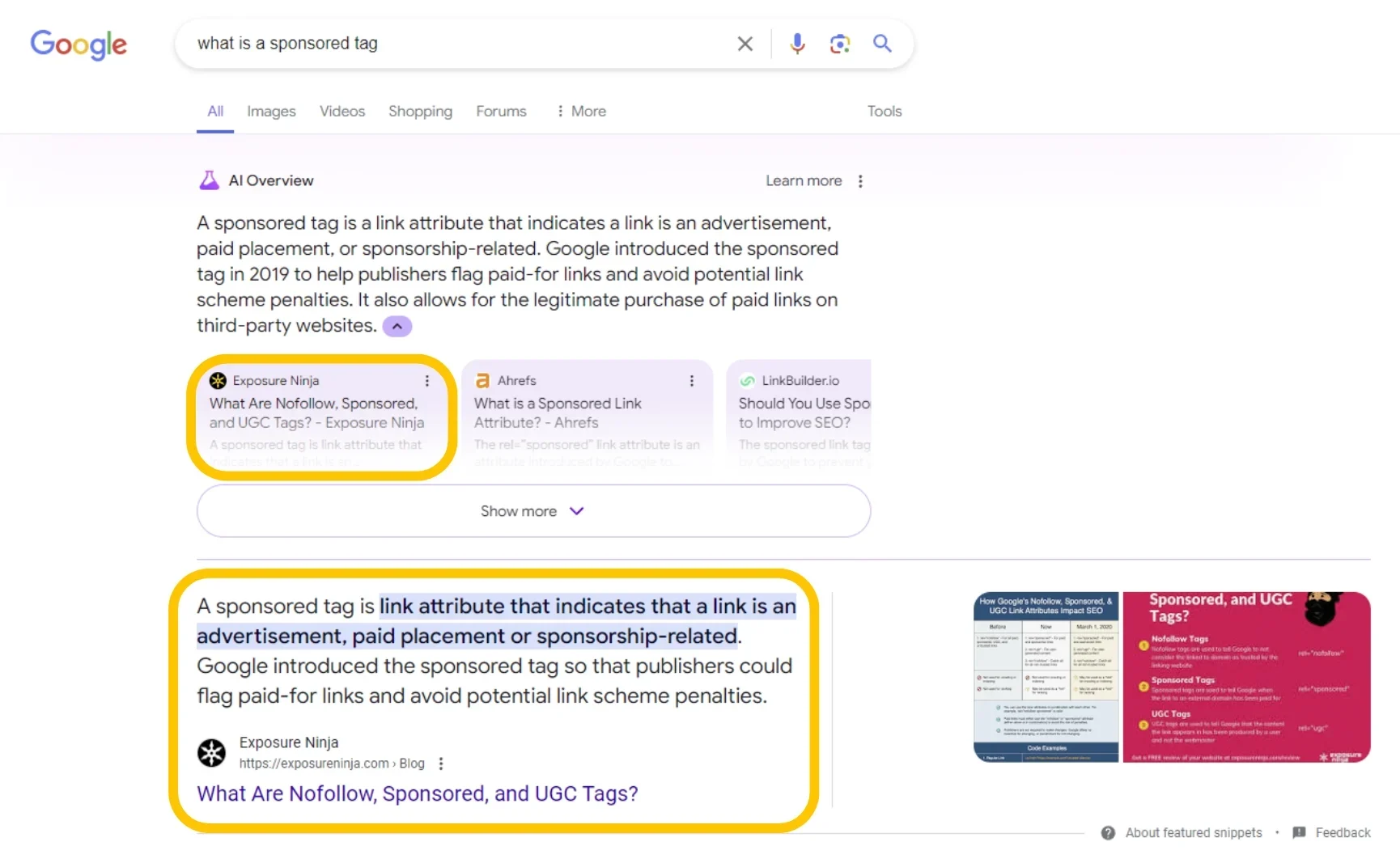 Screenshot of a website appearing in the AI response and organic search results