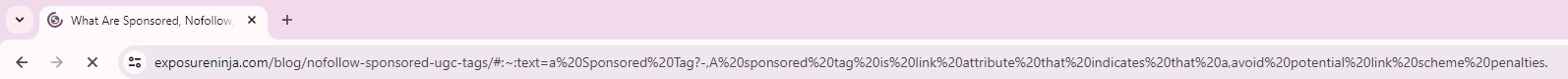 Screenshot of a URL